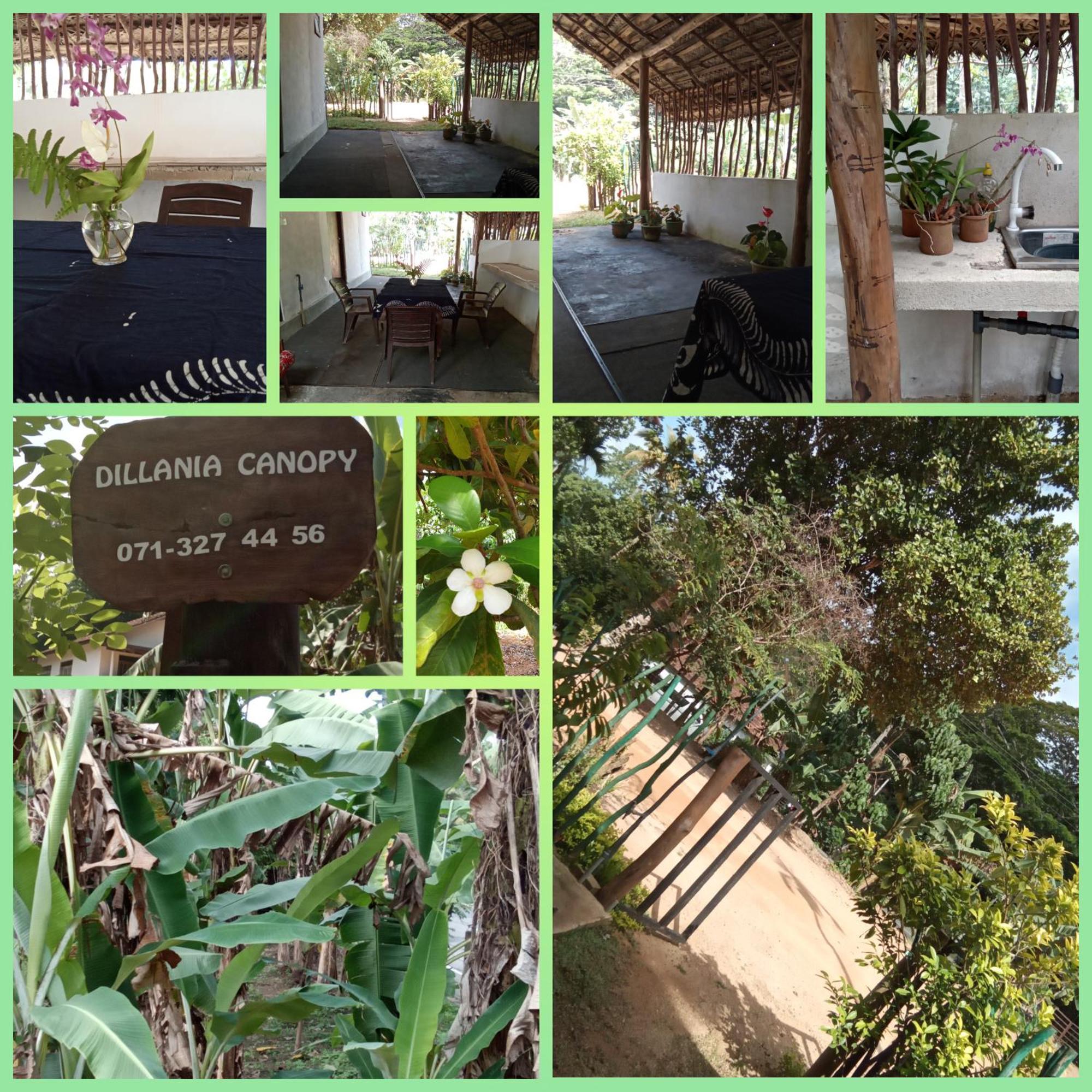 Dillenia Canopy Mirissa Luaran gambar