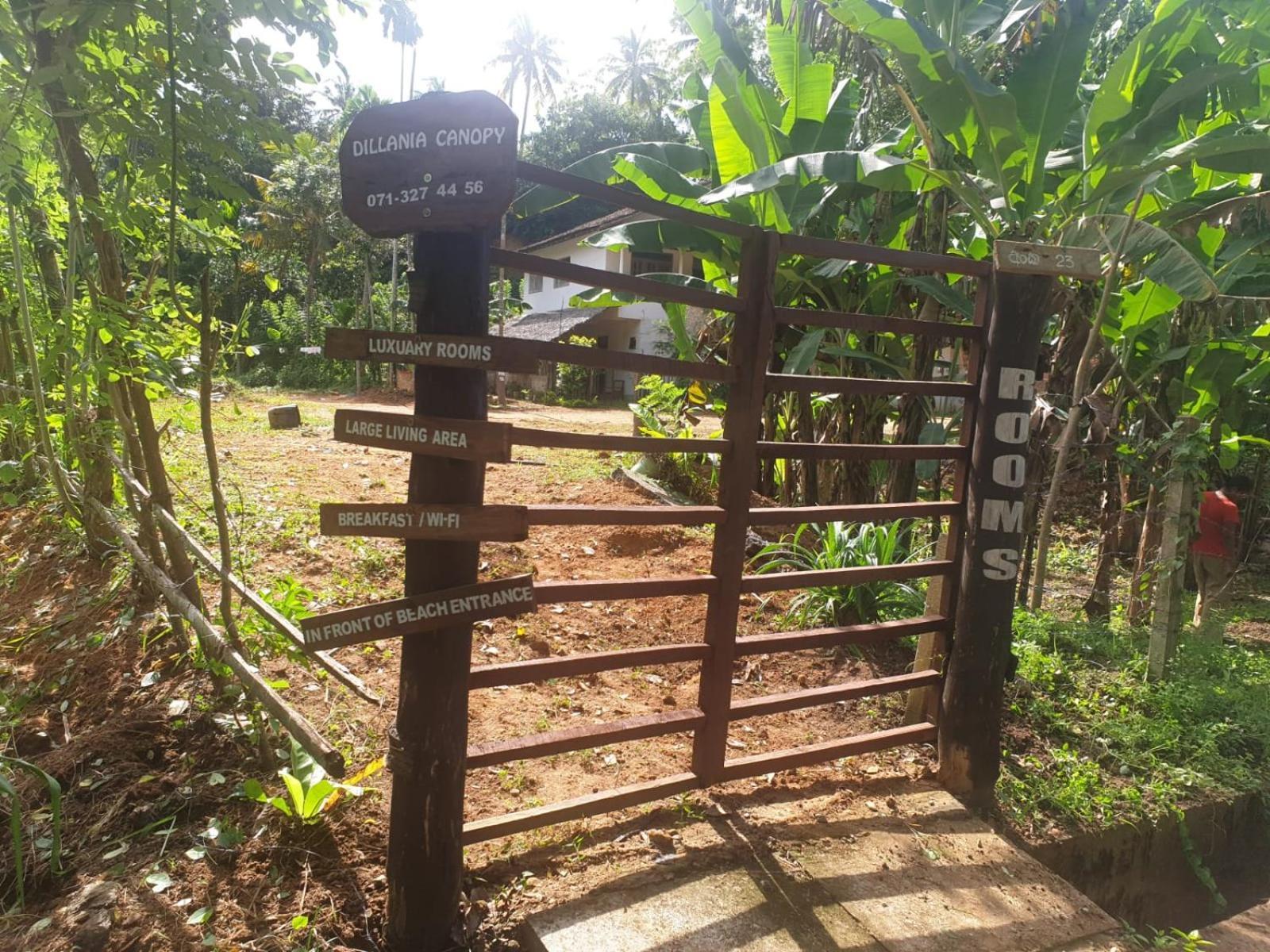 Dillenia Canopy Mirissa Luaran gambar