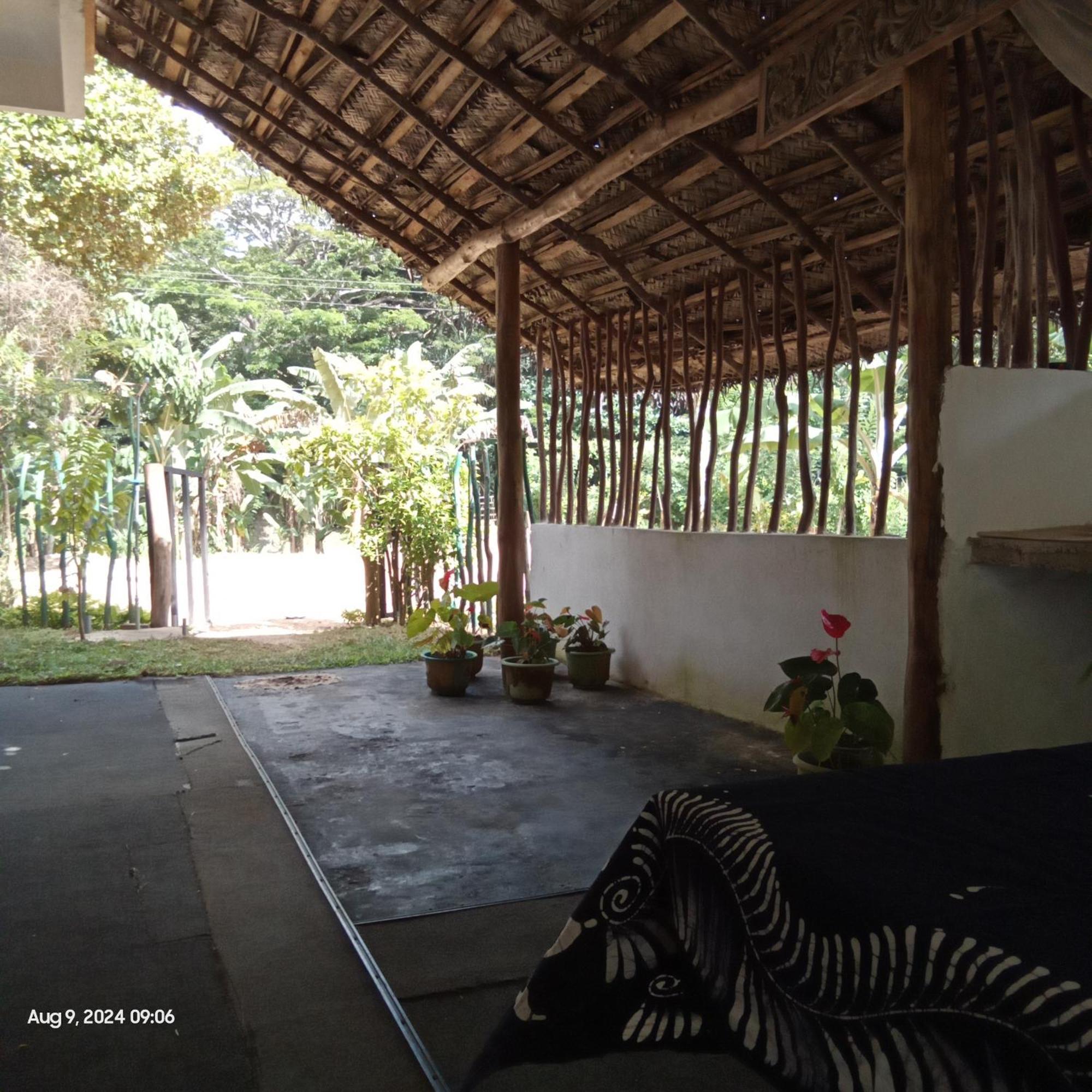 Dillenia Canopy Mirissa Luaran gambar