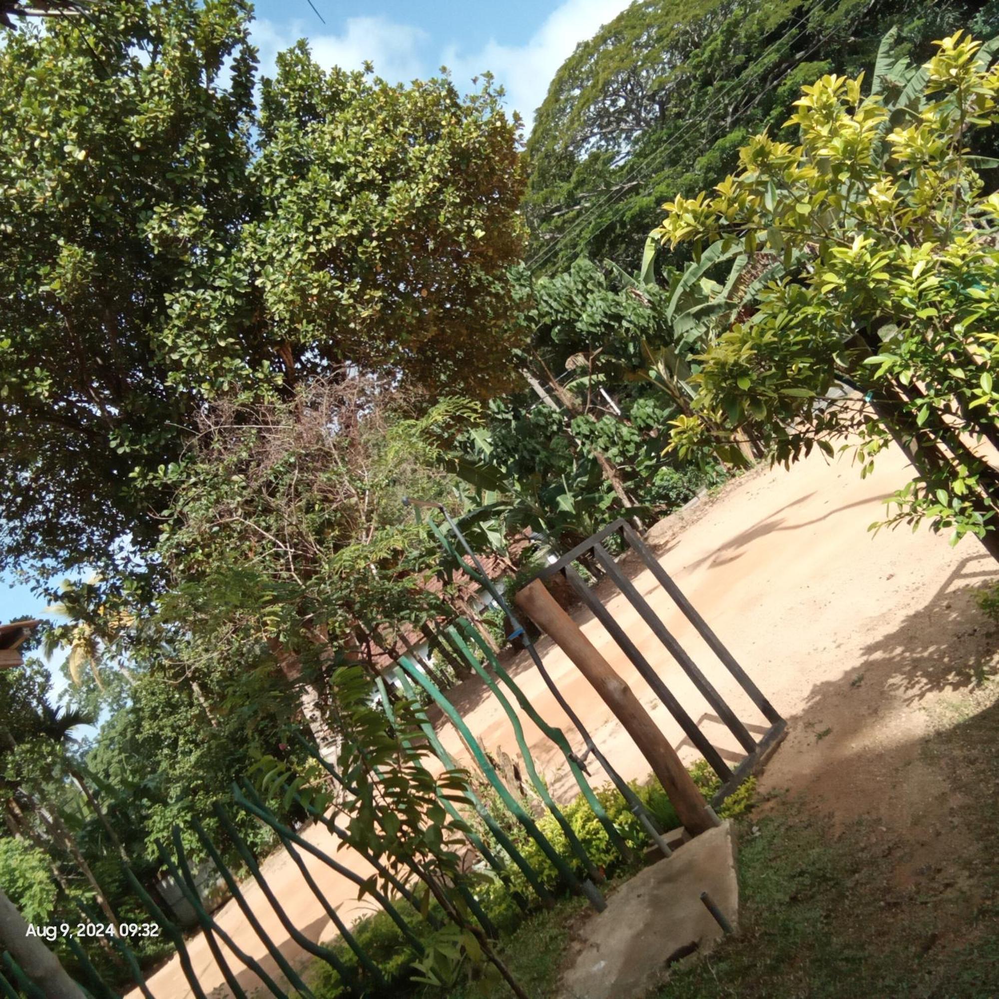 Dillenia Canopy Mirissa Luaran gambar