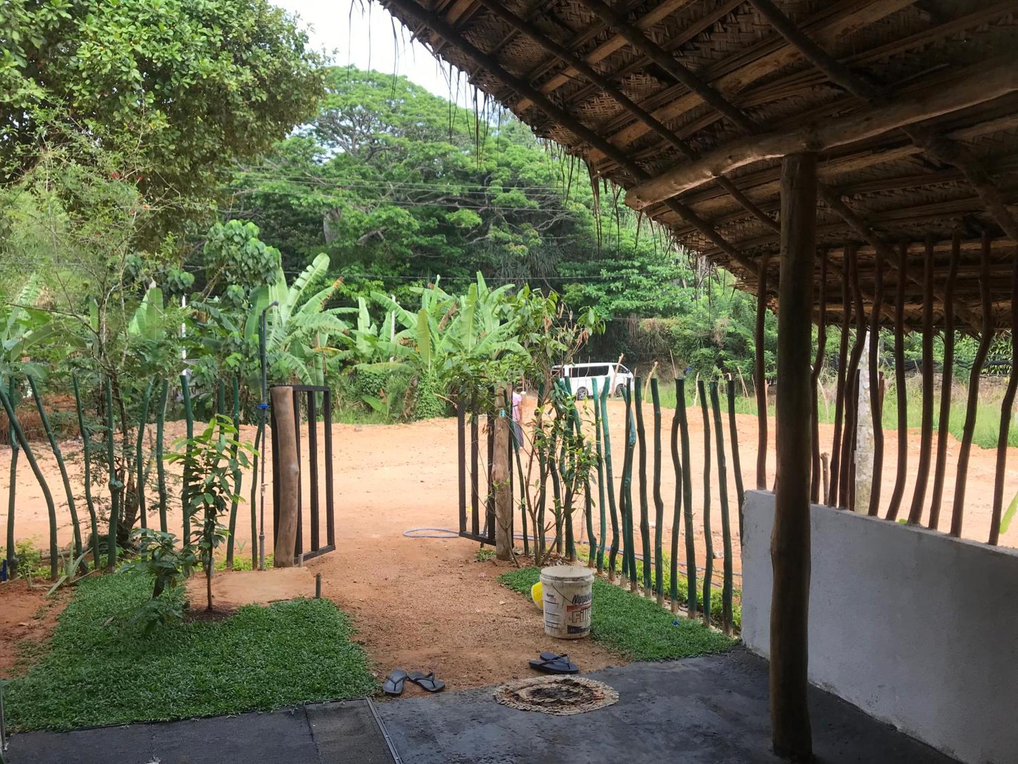 Dillenia Canopy Mirissa Luaran gambar